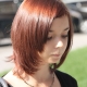 сервис ILLUMINA COLOR